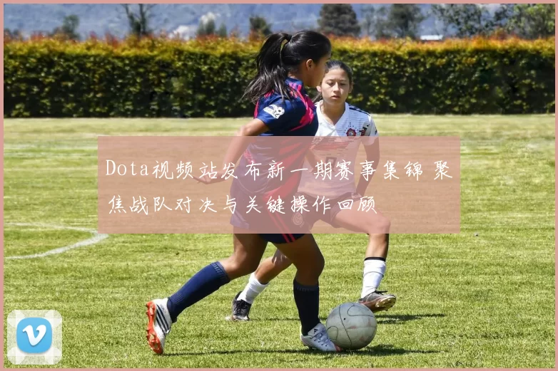 Dota视频站发布新一期赛事集锦 聚焦战队对决与关键操作回顾