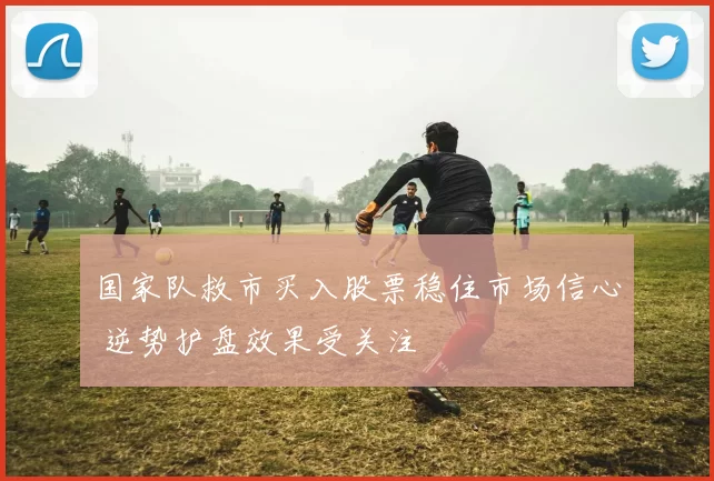 国家队救市买入股票稳住市场信心 逆势护盘效果受关注