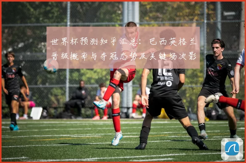 世界杯预测知乎汇总：巴西英格兰晋级概率与夺冠态势及关键场次影响
