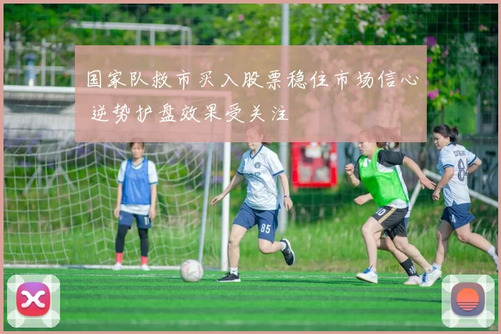国家队救市买入股票稳住市场信心 逆势护盘效果受关注